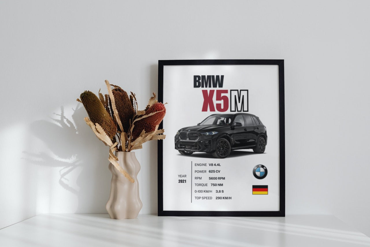 BMW X5 M